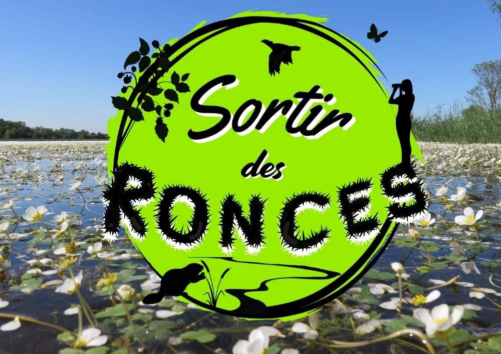 Sortir des ronces - guide naturaliste