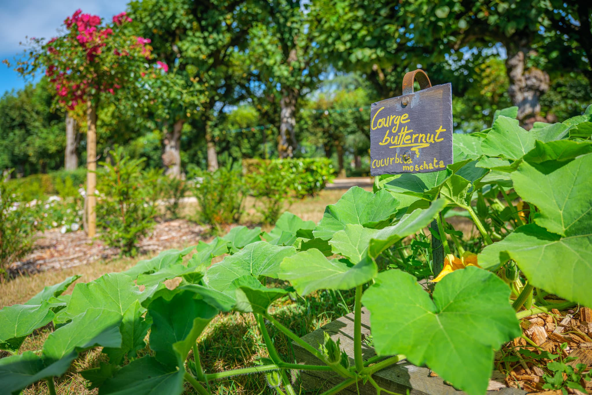 Promenade de Blossac Lusignan - 3