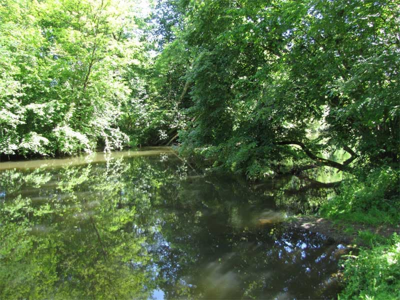 La Dronne, rivière calme et naturelle