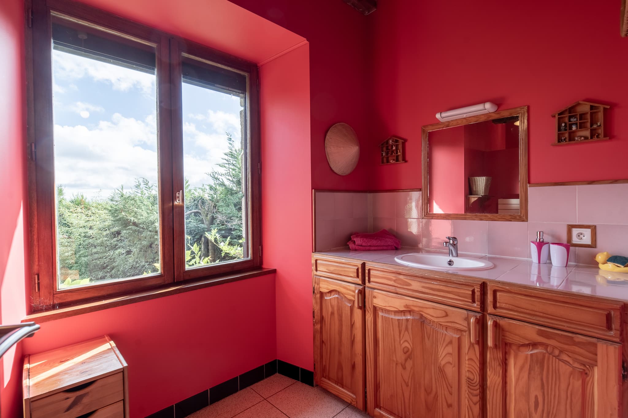 salle de bains chats
