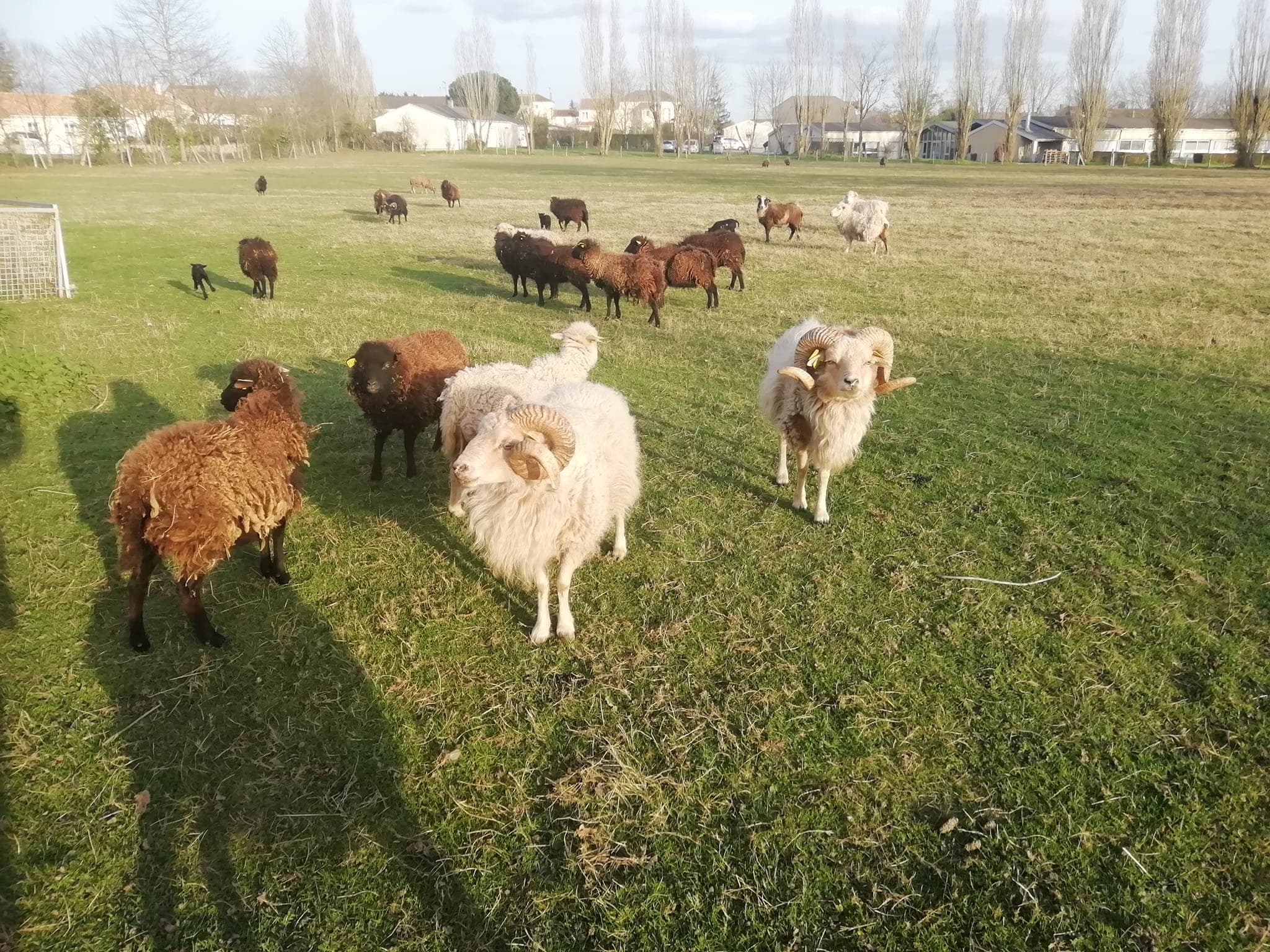 La Ferme de la Jalousie2