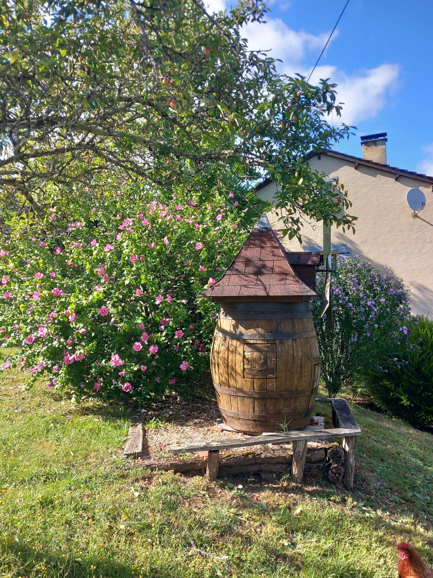 La Garrigue (7)