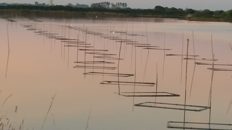 La Petite Canau2