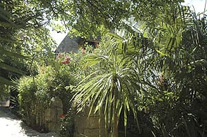 La Roque Gageac - Jardin exotique
