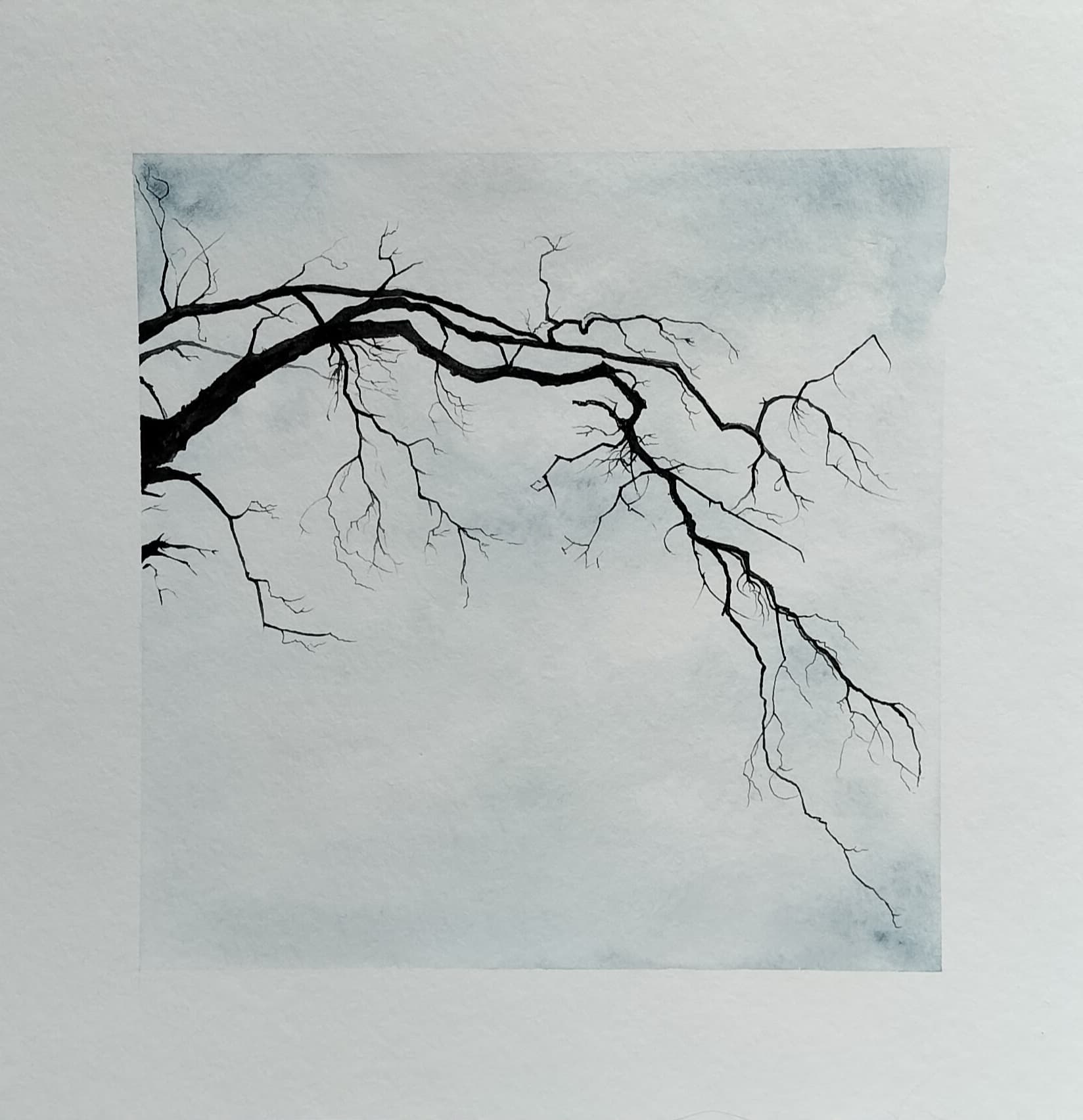 La dormance 10
