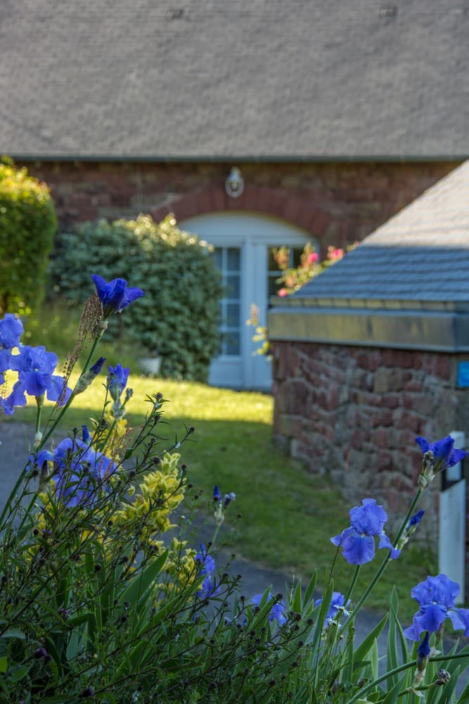 LaMaisonDesEtoiles-Noailhac_jardinFleuri_5
