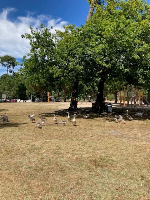Parc de la Magdelaine