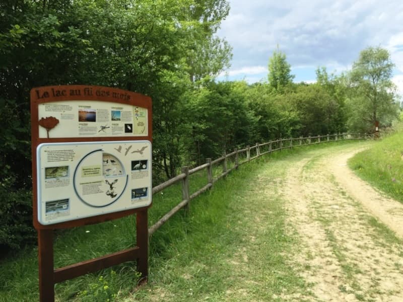 Lac Lescourou parcours nature 1