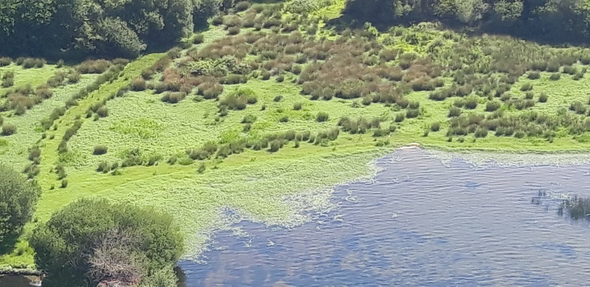 Lac Sud 01