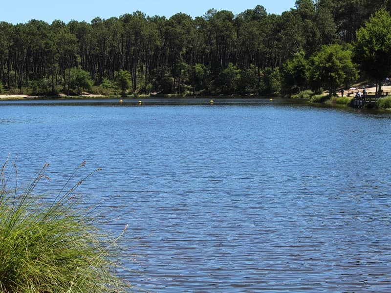 Lac-clarens-vue-nature