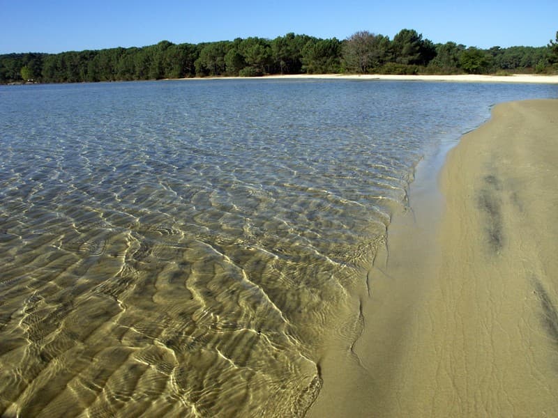 Lac de Cazaux
