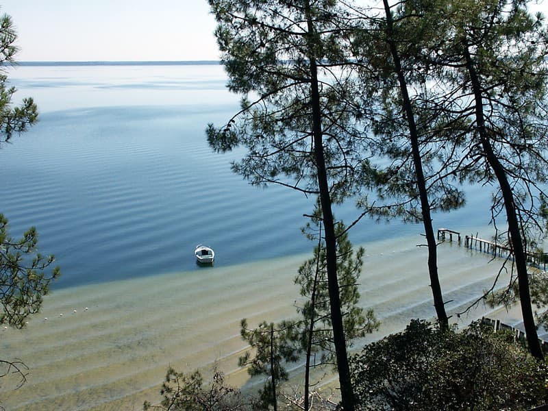 Lac de Cazaux