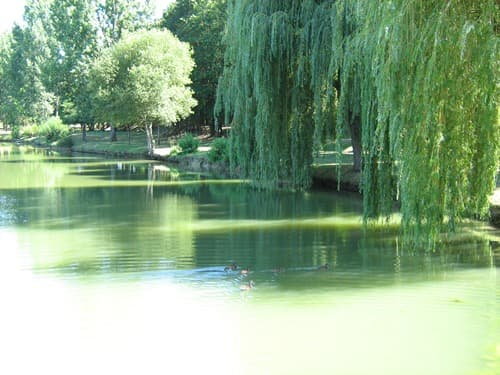 Lac de Lauzun