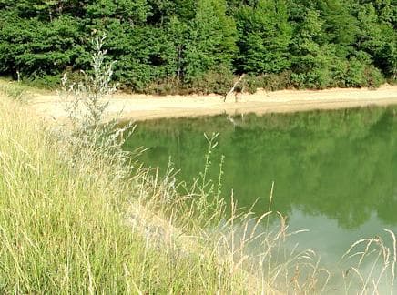 Lac de Platan