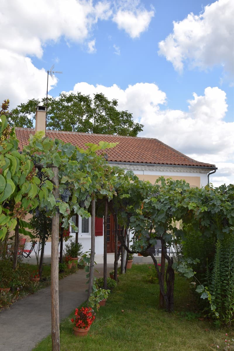 Logis-de-Marthe-Treille ancienne