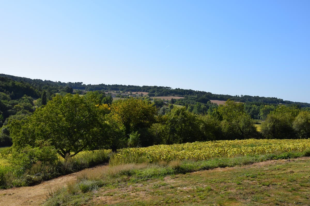 Logis-de-Marthe-Vue sur la vallée depuis la terrasse