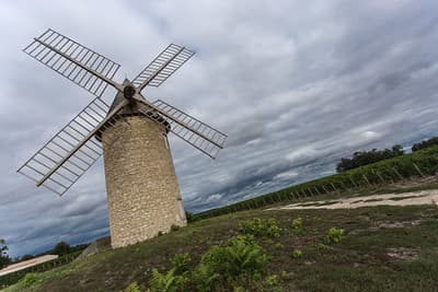 Lamarques 5