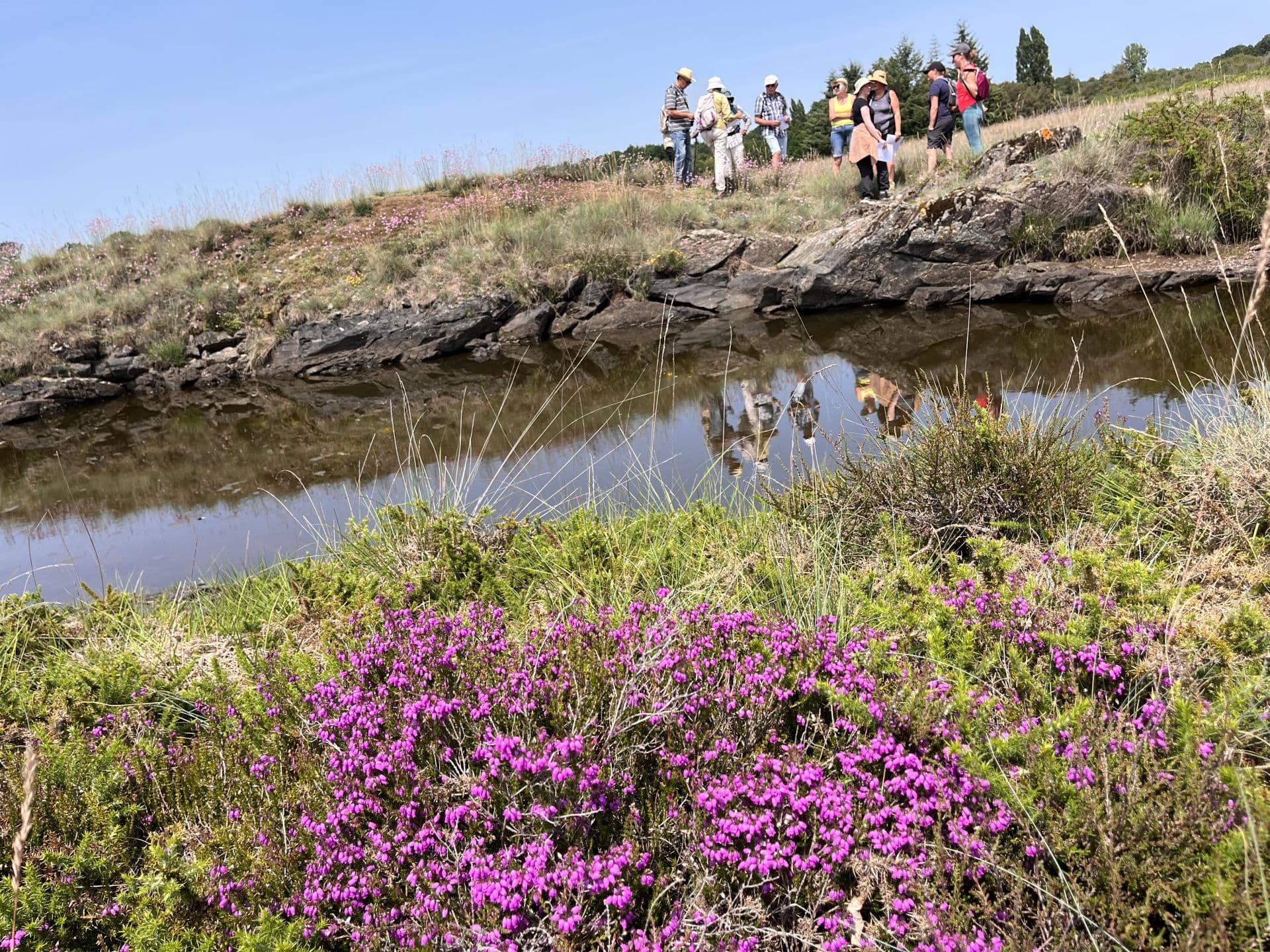 Lande St Laurent à La Roche l'Abeille