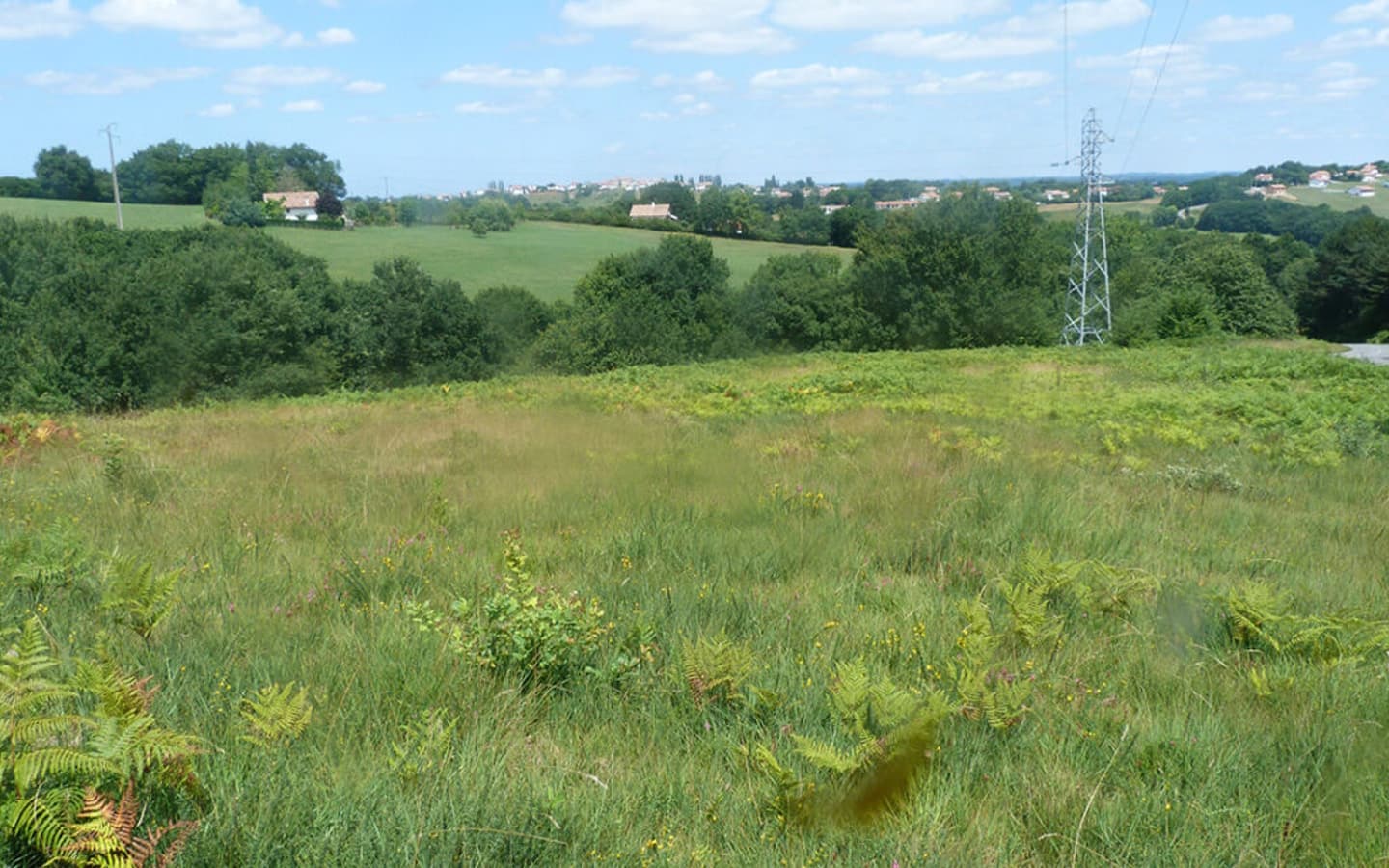 Landes_Mouguerre