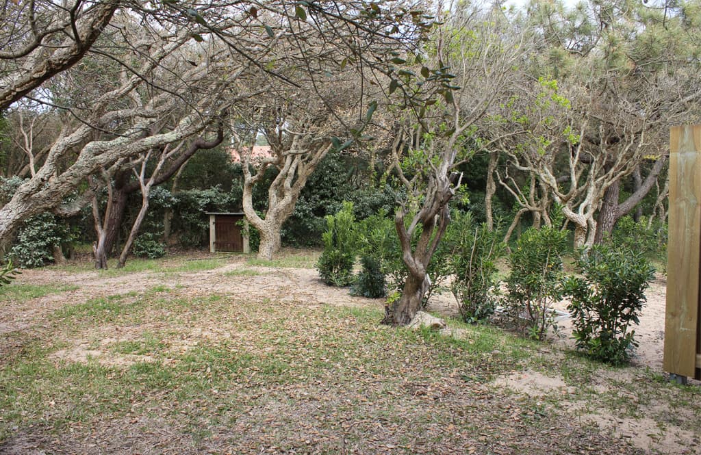 Laurent-jardin