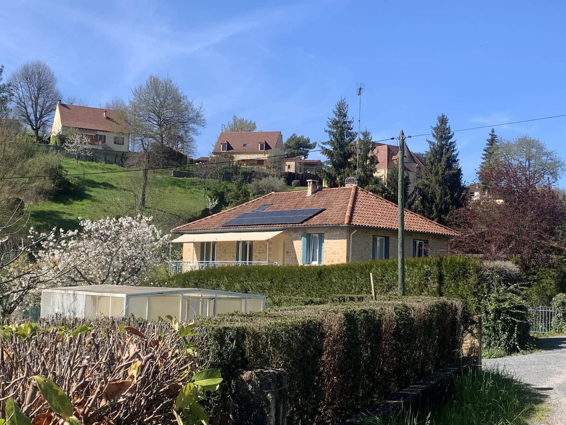 Le Céladore (3)