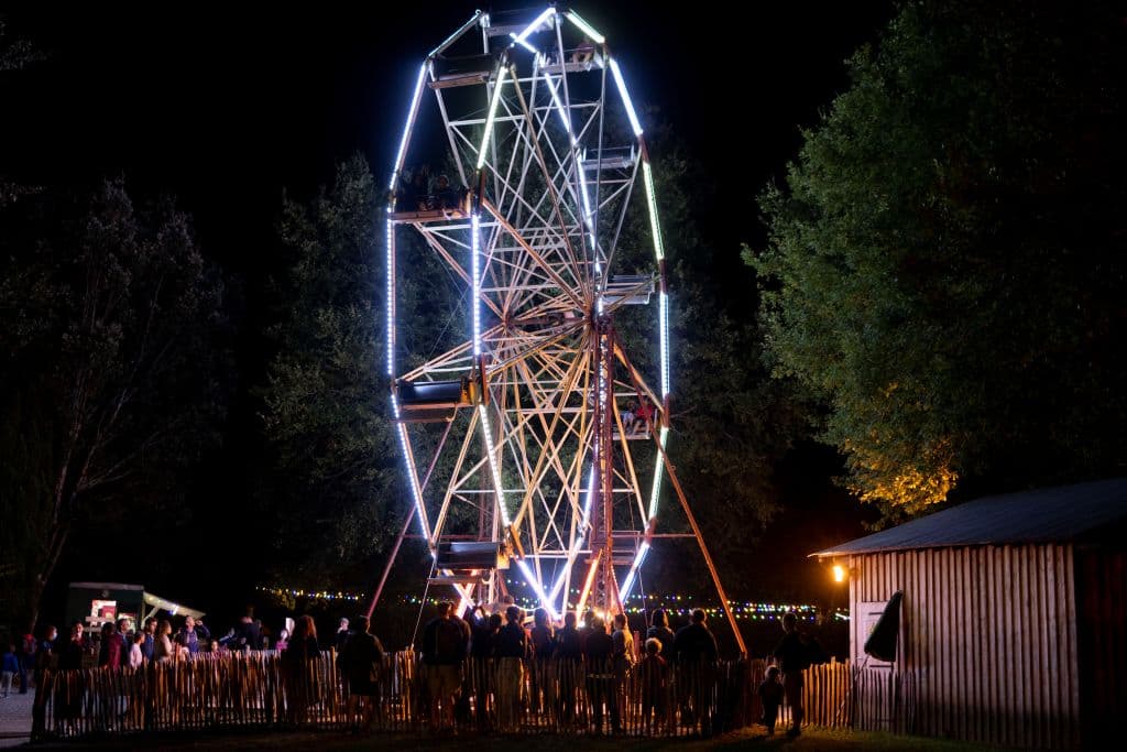 Le Grande Roue en nocturne