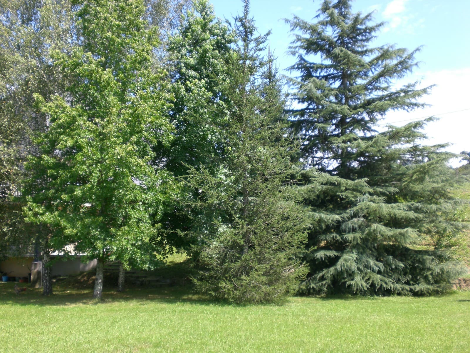 Le Labrit - Jardin