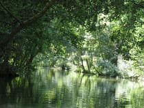 Le Marais poitevin