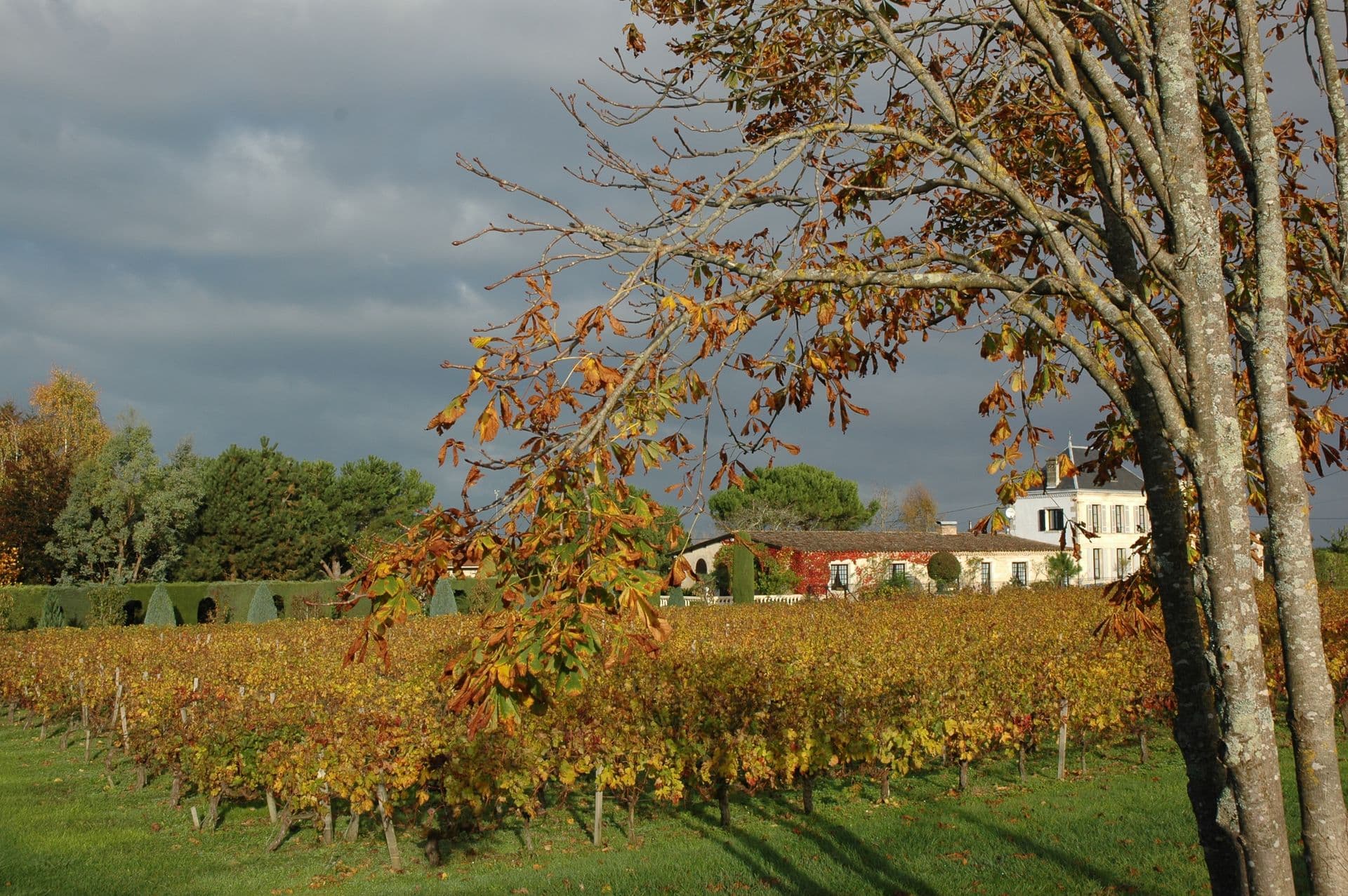 Le Moulin (3)