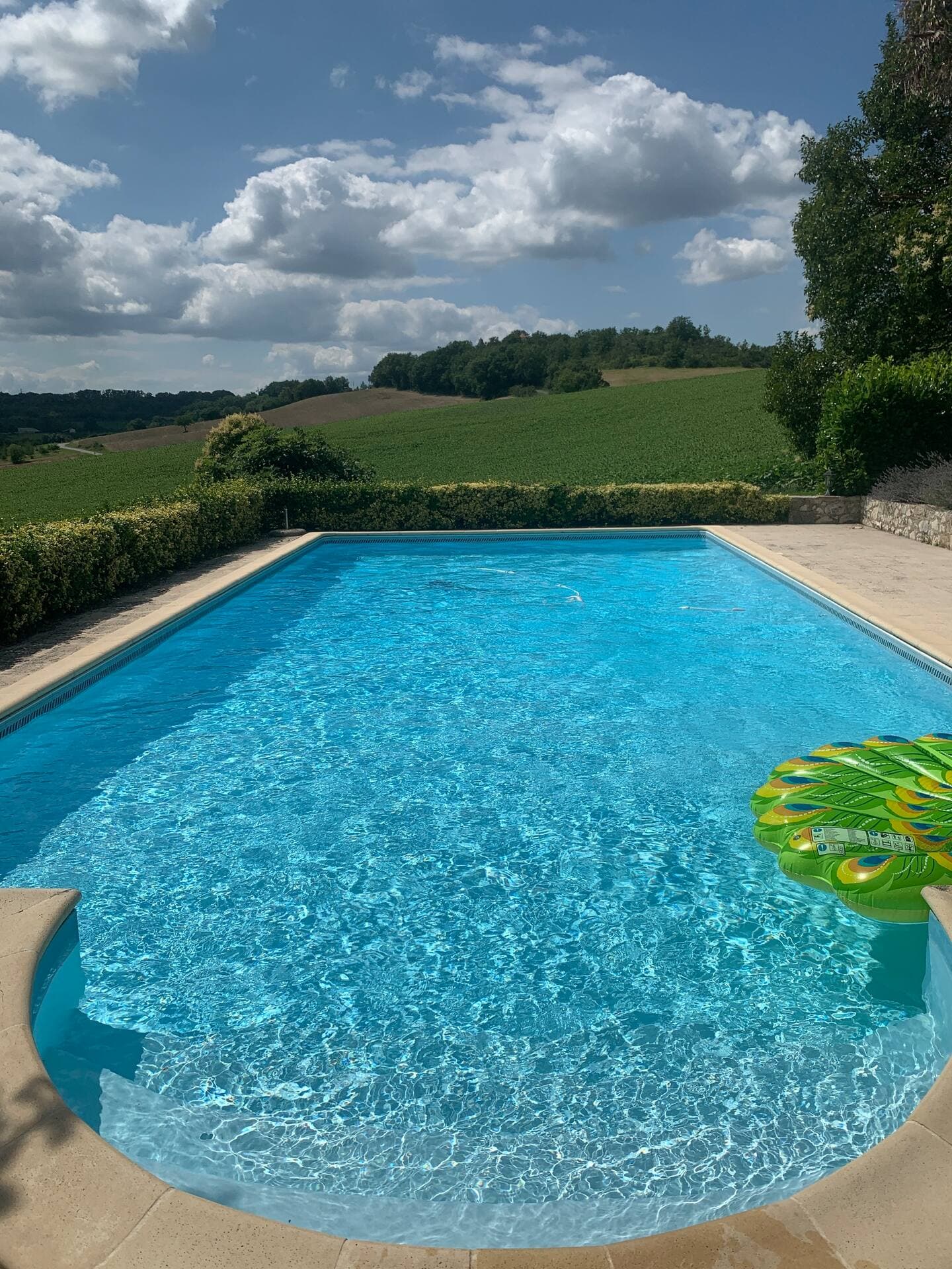 Castelnaud de Gratecambe -Le Trel (12)