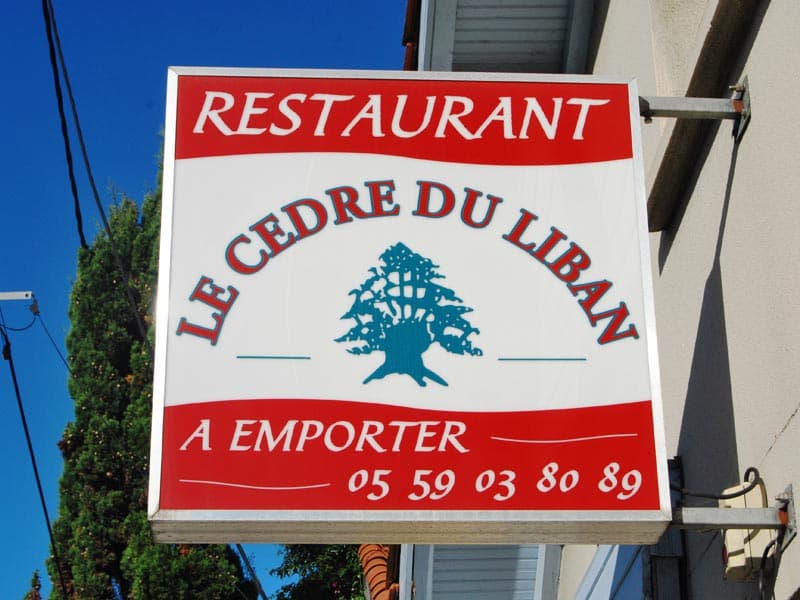 Le cèdre du Liban