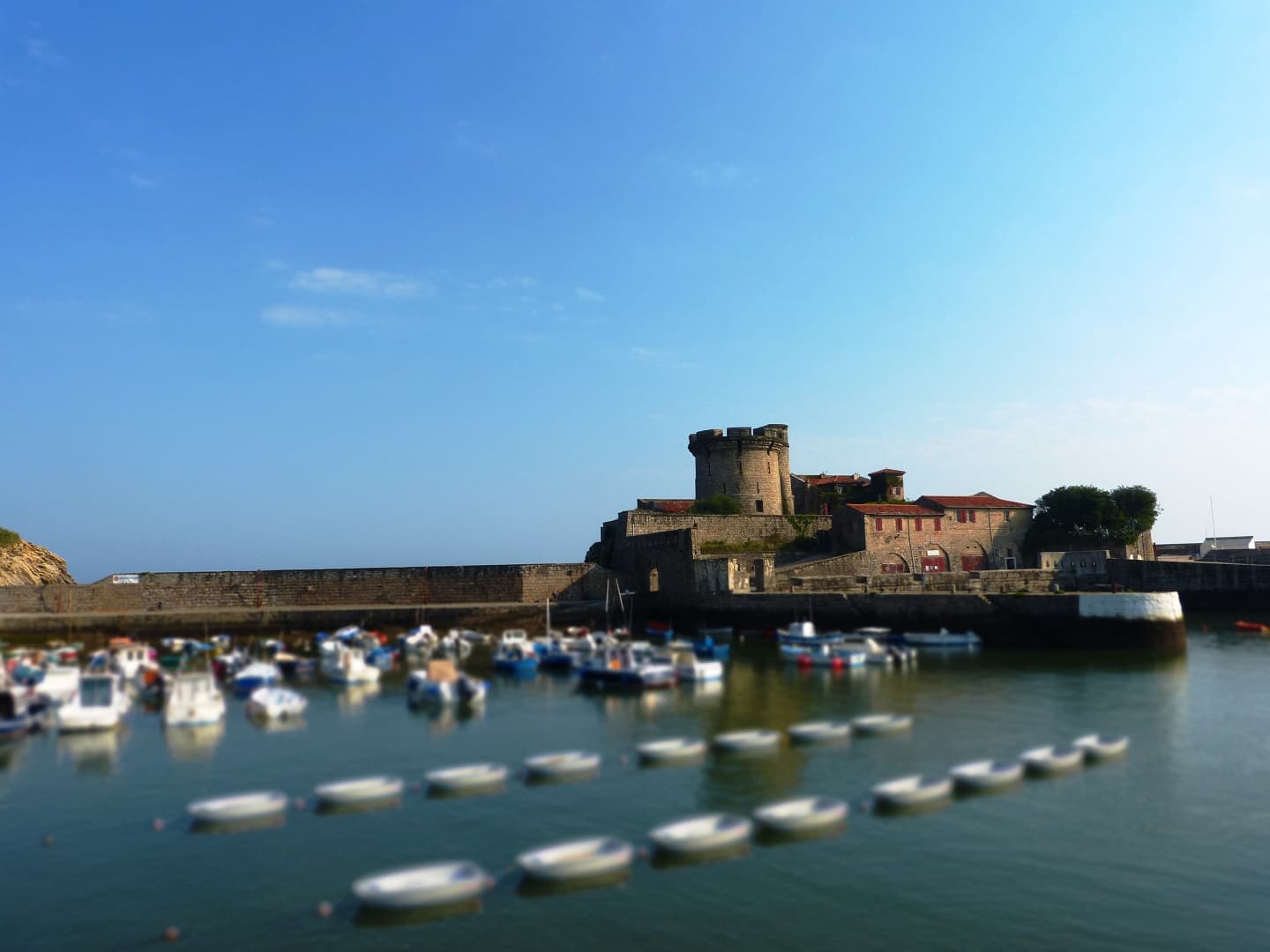 Le-fort