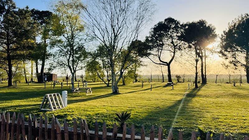 Le parc (1)