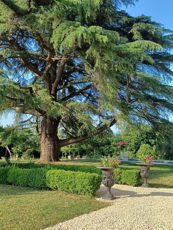 Le parc et son cèdre centenaire