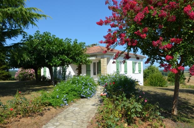 Le Plumbago Derrien Monteton