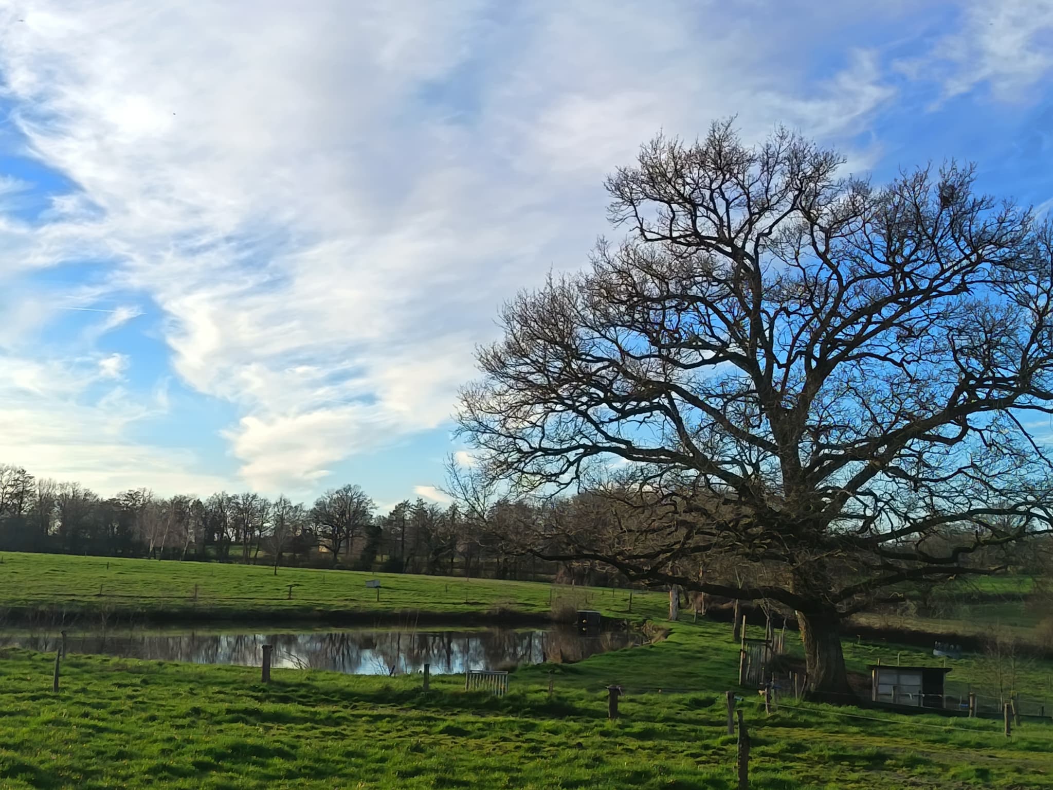 L'ETANG