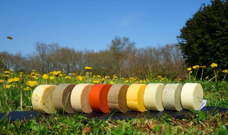 Le pré en bulles