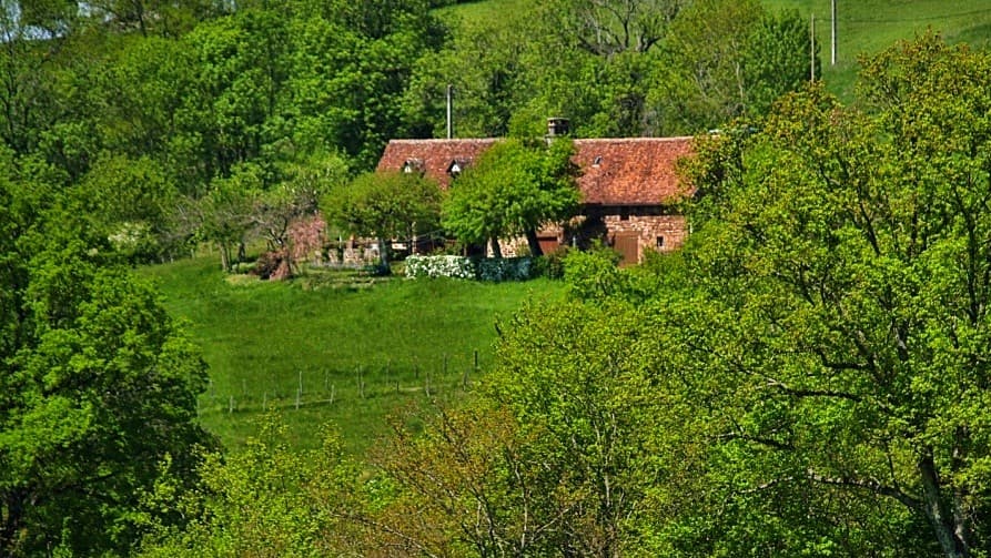 LeRouchil-Tudeils_dansSonEcrinDeVerdure_28