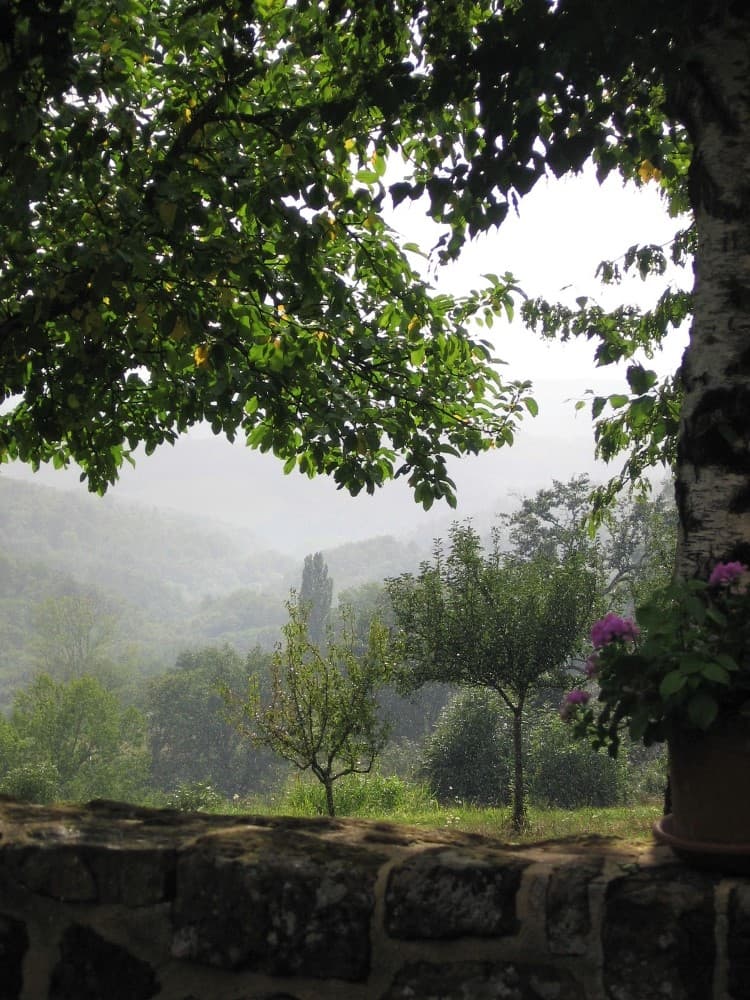 La vallée après la pluie_21