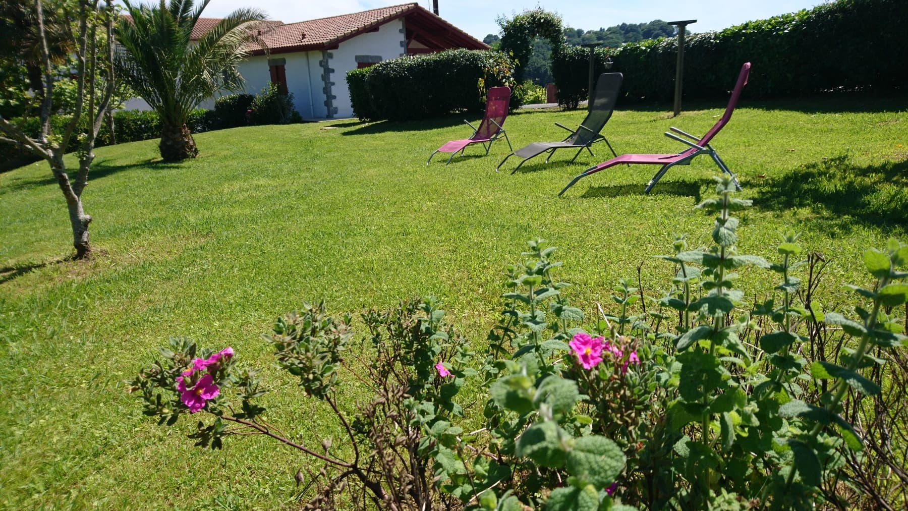 Legagnoa - Jardin