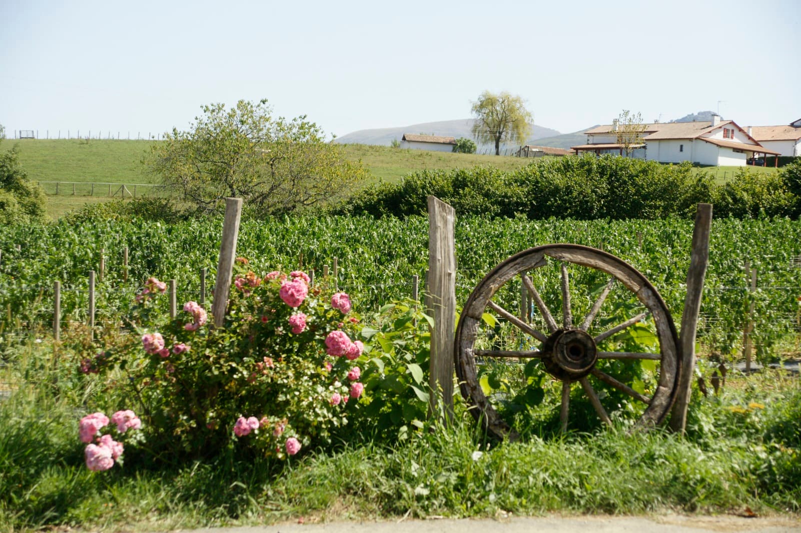 Legagnoa - Vue campagne