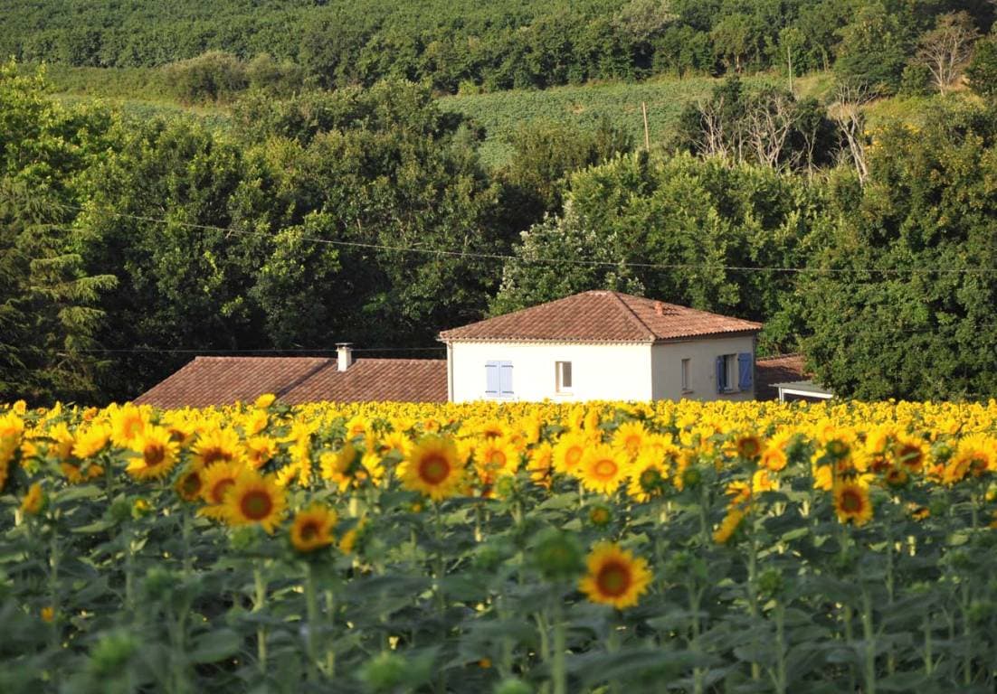 Lencouet-gite-le-galeau-8