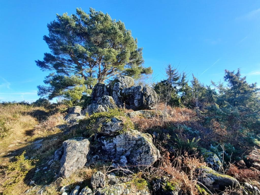 Landes des pierres du mas