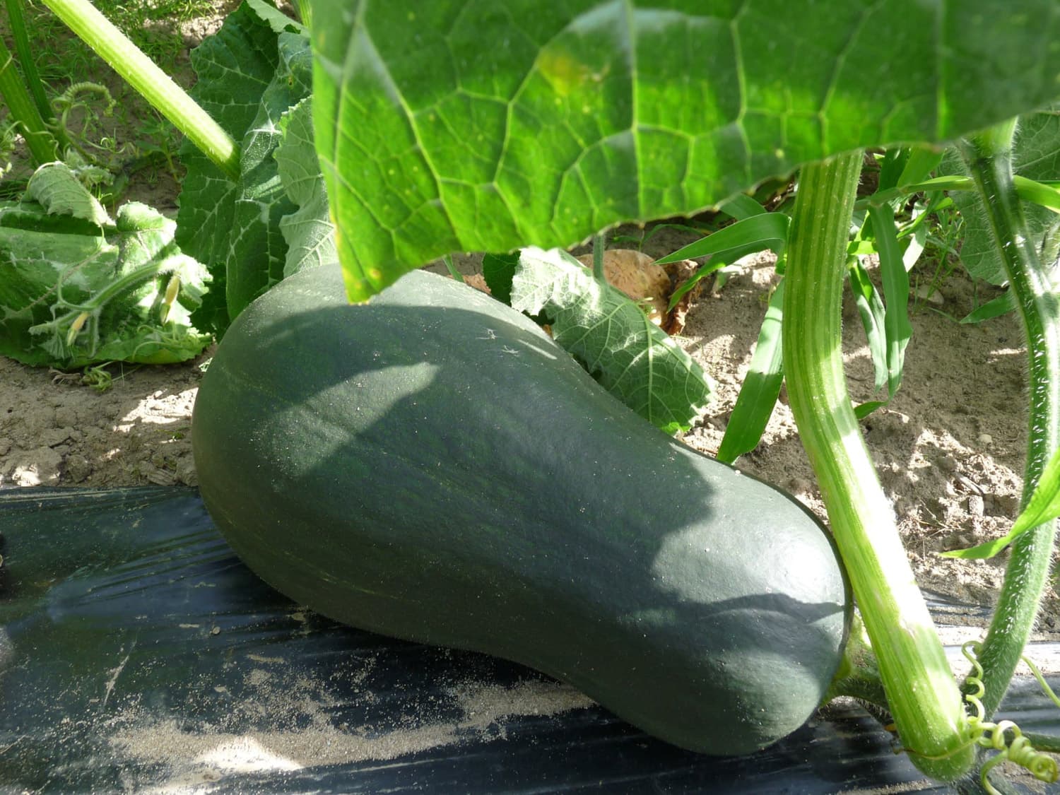 Les Jardins du Refuge