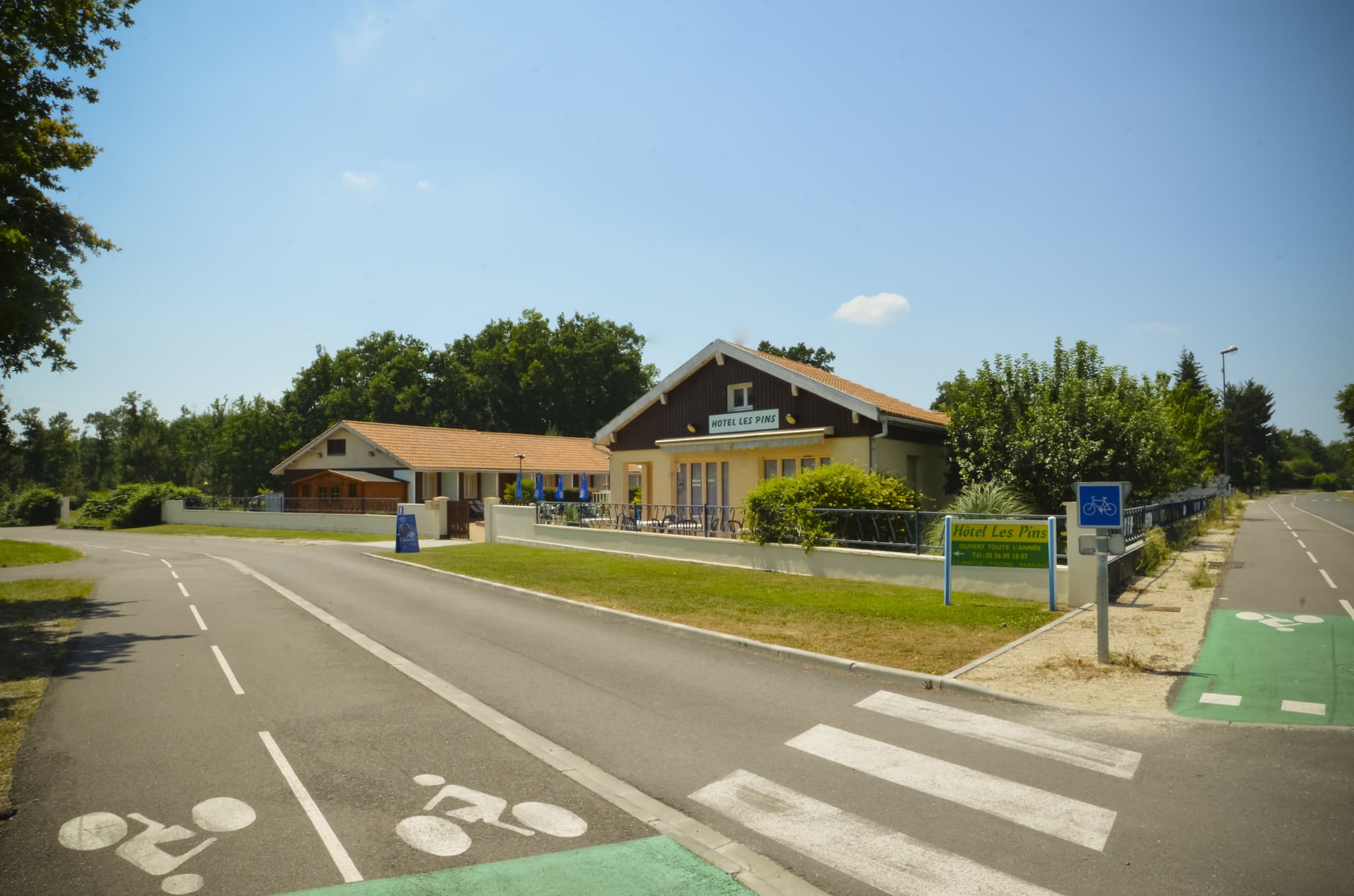 Les Pins1