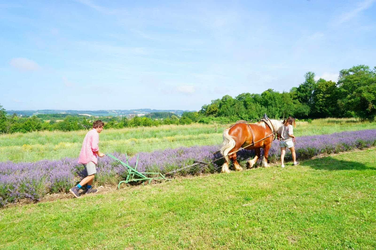 Les Trésors de Galien