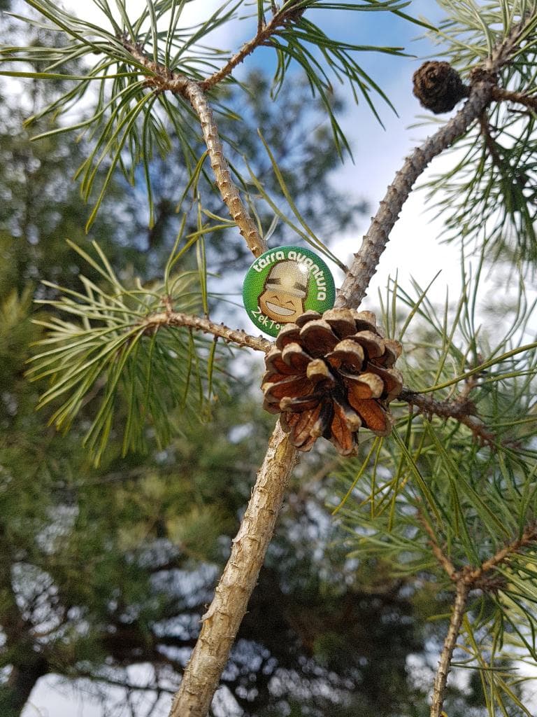Tèrra Aventura du Bruit dans les Bruyères