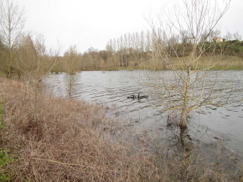Les pieds dans l'eau
