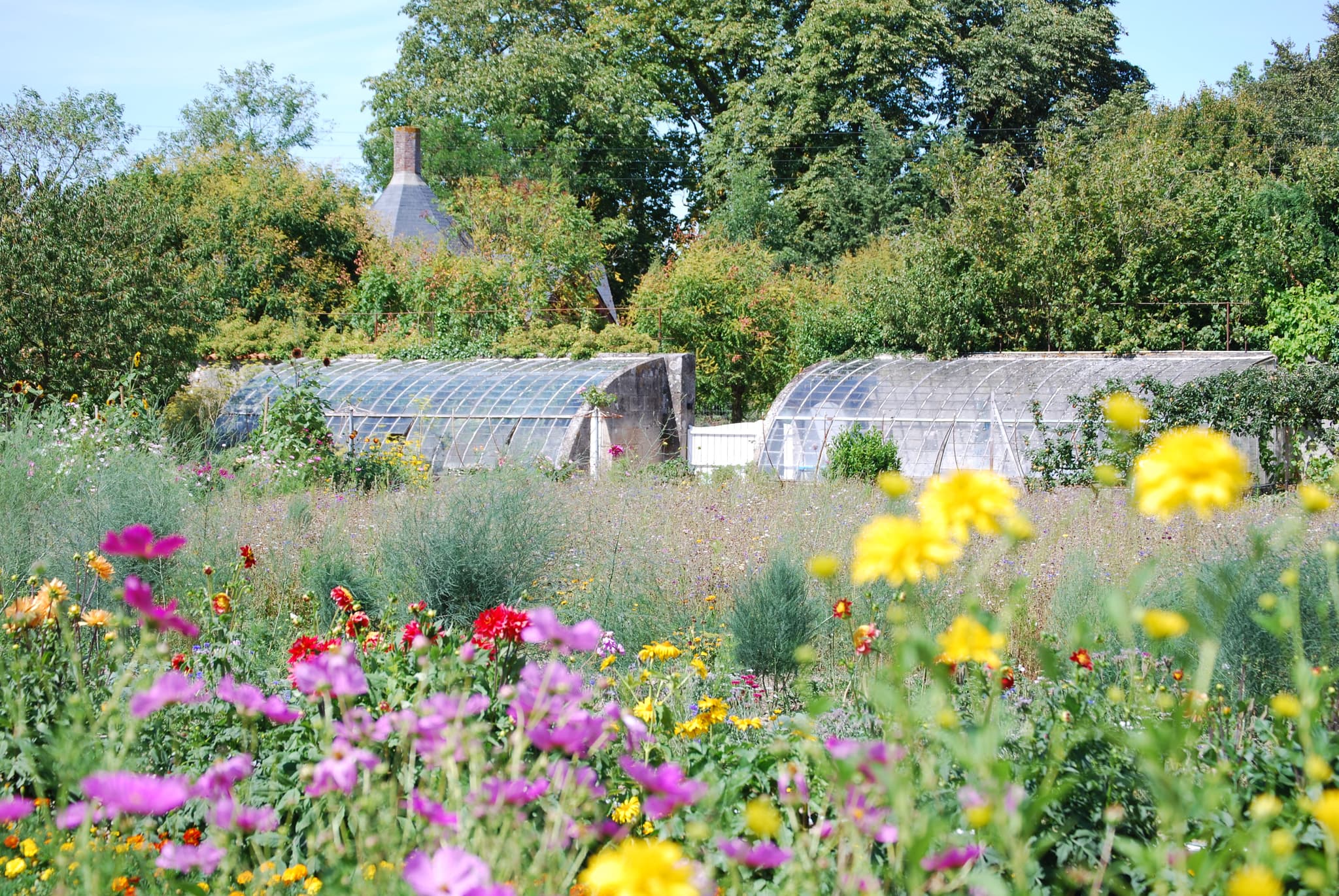 Le potager et les serres