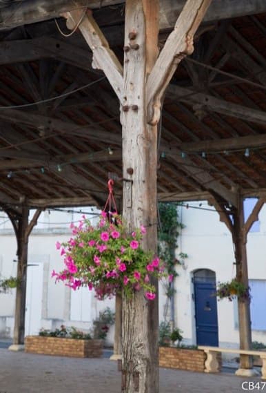 Levignac-de-Guyenne--8-